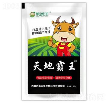 ��ذ���-������-�º̐�