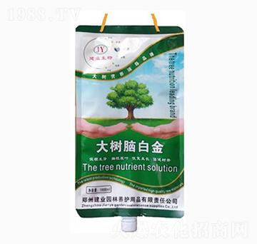 ����X�׽�-���I(y��)