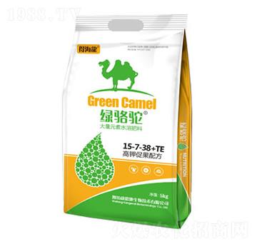 �G���⛴ٹ�����Ԫ��ˮ�ܷ���15-7-38+TE-�ú���-������