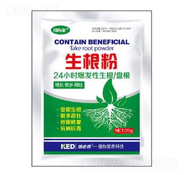 ������-�ú���-������