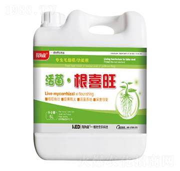 �������ϲ��-�ú���-������