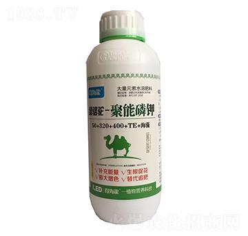 �G��-�������-������