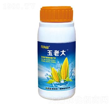 �������~�懊��-���ϴ�-������