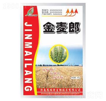 ������-�|���S