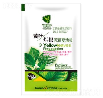 �S�~���������(f��)���`-�|