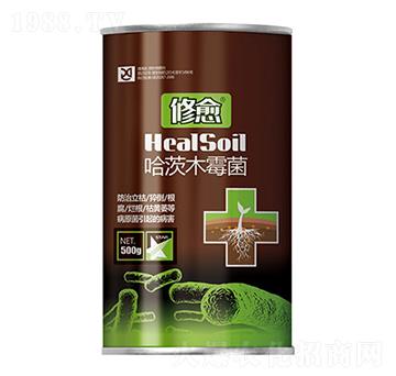 ����ľù��-����-���S