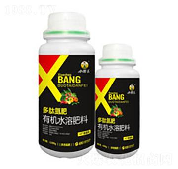 ���ĵ���-����������