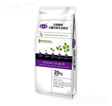20kg高鉀型大量元素水溶肥料12-5-40+TE-大微菌素-金必來生物