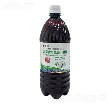 大蒜黃葉死苗一噴綠-鑫科植保