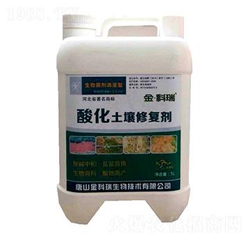 �ữ�����ޏ̈́�-�����