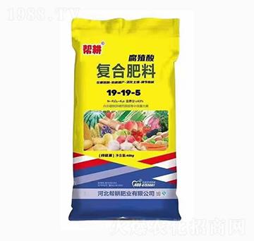 �ͺϷ���19-19-5-�͸��ʘI(y��)