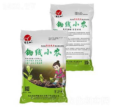 �z��(xi��n)С�r(n��ng)-���(l��i)�t