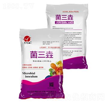 ������-���(l��i)�t