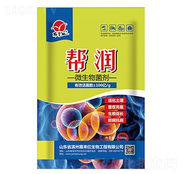 ΢�������-�͝�(r��n)-����t