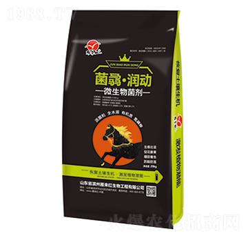 ΢�������-���T����(r��n)��(d��ng)-���(l��i)�t