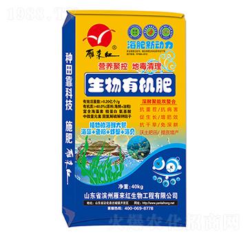 �����ЙC(j��)��-������(d��ng)��-���(l��i)�t