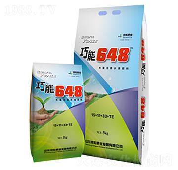 ����I�B(y��ng)�ʹ���Ԫ��ˮ�ܷ�15-11-33+TE-����648-���ŷʘI(y��)