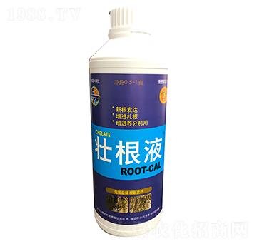 ��������(f��)�Ϸ�ROOT-CAL-�ܸ���