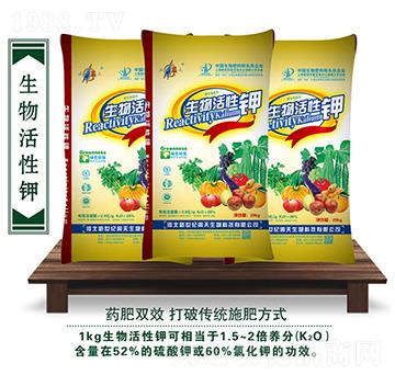 ��������-��������