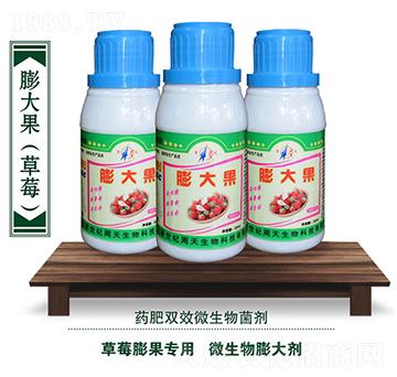 草莓專用微生物菌劑-膨大果-周天生物