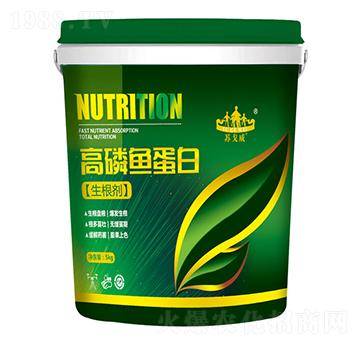 �����~����-ɽ�|�������