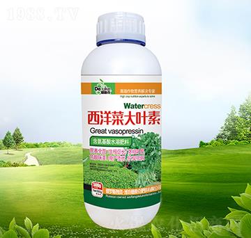 ����˴��~��-������