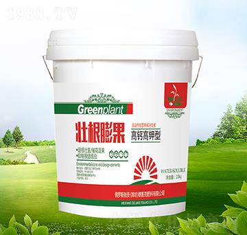 ���}����͉Ѹ����-������