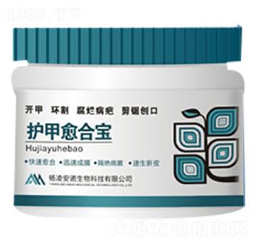 �o(h��)�����ό�-���Z����