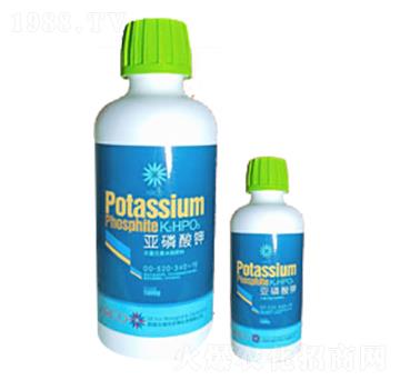 ƿ�b�������-���Z����