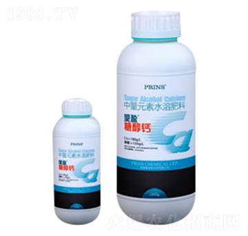 ��ӯ�Ǵ��}-Ӣ������˹