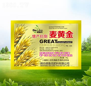 ���a(ch��n)�������S��-������