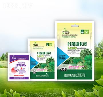 �~�����L�`+�T��(d��o)��-������