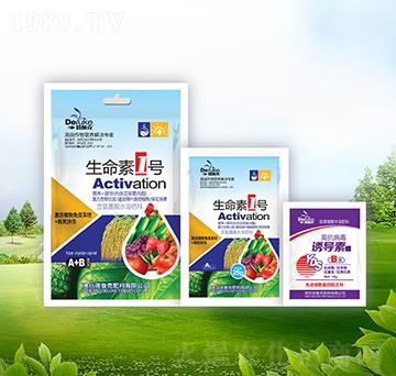 ������1̖(h��o)+�T��(d��o)��-������