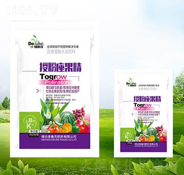 �ڷ�������-������