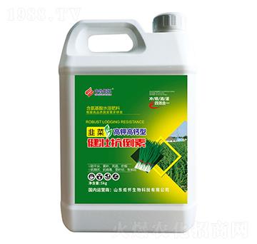 �²˽��ѿ�����-ɽ�|�������