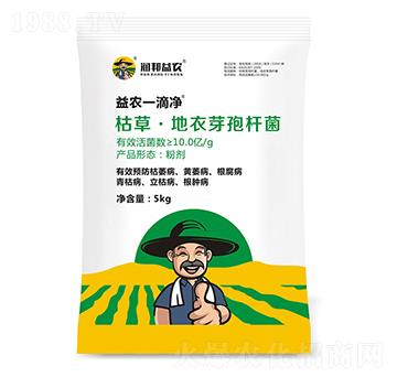 �ݲݵ���ѿ�ߗU��-���rһ�΃�-�������r