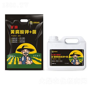 �VԴ�S�����+��-�������r