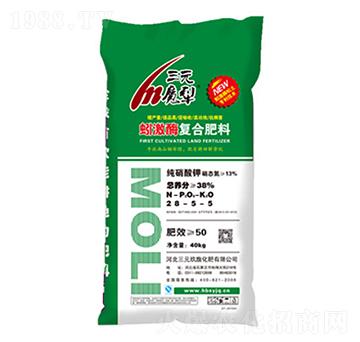 򾼤ø�ͺϷ���28-5-5-��Ԫ����