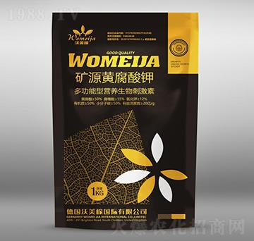 �VԴ�S�����-������