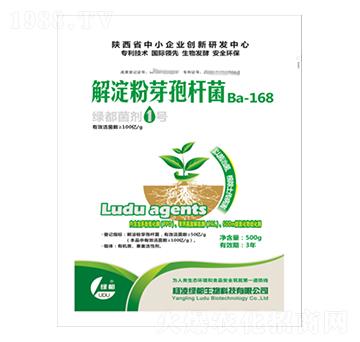 �G������1̖(h��o)-�G��