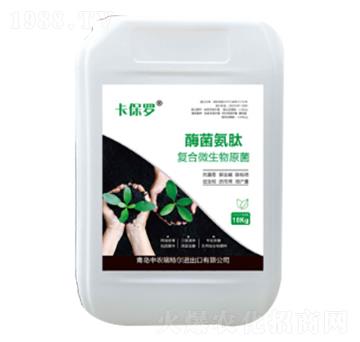 ø�����ďͺ�΢����ԭ��-�����_-���r���ؠ�