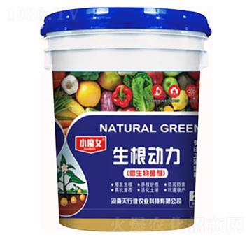 ΢�������-��������-���н�