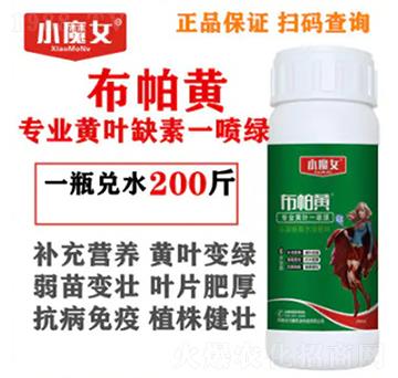 ���I(y��)�S�~ȱ��һ���G-�����S-СħŮ-���н�