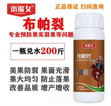 ������-СħŮ-���н�