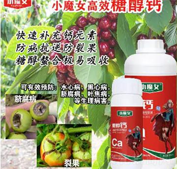 �Ǵ��}-СħŮ-���н�