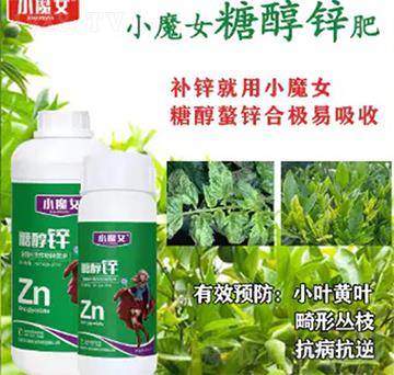 �Ǵ��\-СħŮ-���н�