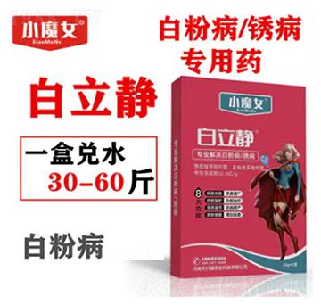 �׷۲����P������ˎ-�����o-СħŮ-���н�