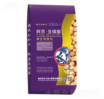 ΢�������-���`����֬-����t��Ԫ