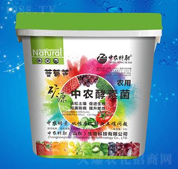 ���r���ؾ�-���r�ط�