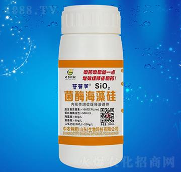 ��ø�����-���r�ط�